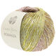 Lana Grossa ROMANZA (Linea Pura) | 08-mint/gröngrå/grå/auberginegrå/khaki/pistasch
