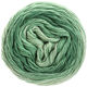 Lana Grossa SLOW WOOL LINO Dégradé | 203-pastellgrön/grågrön/ärggrön
