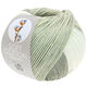 Lana Grossa SOFT COTTON Dégradé | 114-vit/silvergrå/ljus grå/grå