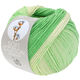 Lana Grossa SOFT COTTON Dégradé | 118-ecru/mjuk grön/jade