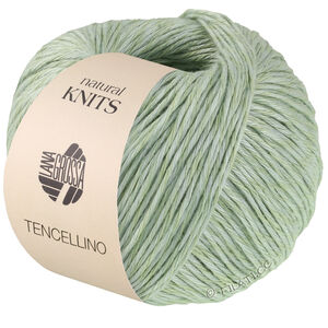 Lana Grossa TENCELLINO | 04-vitgrön
