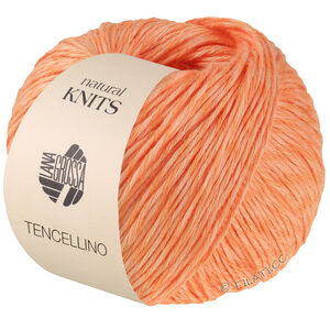 Lana Grossa TENCELLINO | 14-laxorange