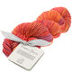 Lana Grossa UNICO (Linea Pura) | 10-bordeaux/kopparröd/mörk orange