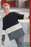 Lana Grossa PULLOVER Alta Moda Alpaca - German Edition