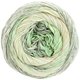 Lana Grossa ARUBA | 07-mjuk grön/grågrön/ecru