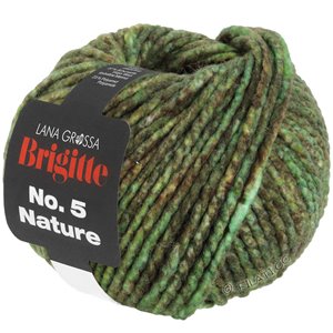 Lana Grossa BRIGITTE NO. 5 Nature | 103-grön/brun melerad