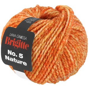 Lana Grossa BRIGITTE NO. 5 Nature | 105-orange/karamell melerad