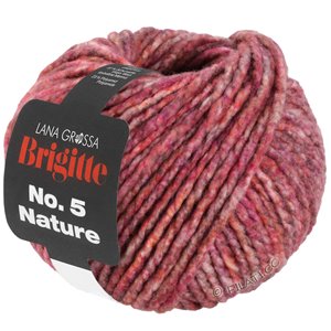 Lana Grossa BRIGITTE NO. 5 Nature | 106-pink/gråbrun melerad