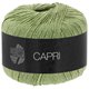 Lana Grossa CAPRI | 43-lindgrön