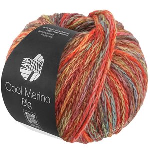 Lana Grossa COOL MERINO Big Color | 402-grågrön/röd/gul/mint/brun/rosenträ