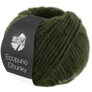 Lana Grossa ECOPUNO Chunky