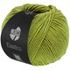 Lana Grossa ELASTICO | 202-pistasch
