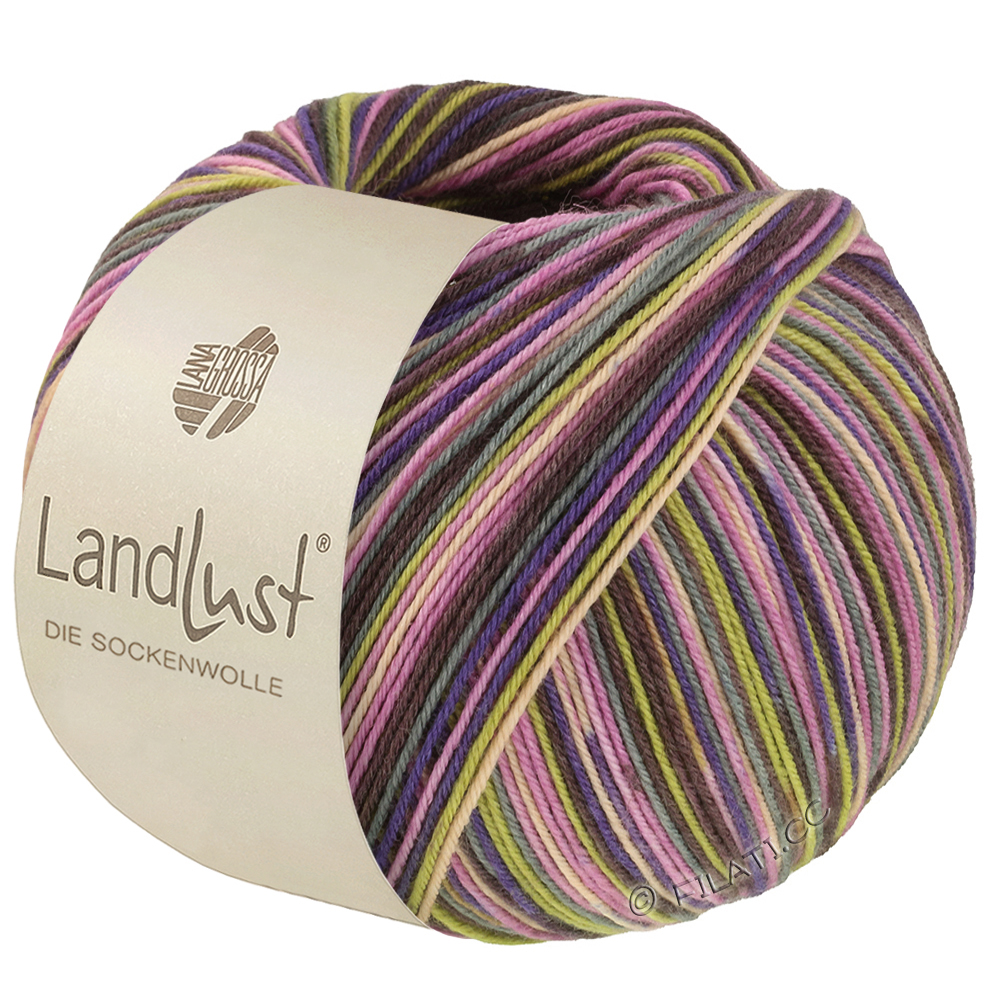 Lana Grossa LANDLUST DIE SOCKENWOLLE SEIDE PRINT