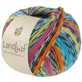 Lana Grossa LANDLUST DIE SOCKENWOLLE