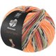 Lana Grossa MEILENWEIT 100g Cashmere Pista | 141-orange/ljus grå/mörk grå/brunorange/ljus grön/ljung/björnbär/gråbrun randigt