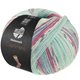 Lana Grossa MEILENWEIT 100g Cashmere Pista | 142-mint/turkos/vit/grå/ljus blå/fuchsia randigt