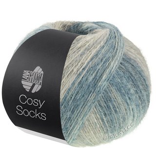 Lana Grossa MEILENWEIT 100g Cosy Socks Dream