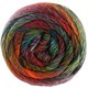 Lana Grossa MEILENWEIT 100g Rainbow | 6410-rost/grafit/mörk röd/grågrön/lövgrön/skogsgrön/orange/bordeaux/karamell/röd