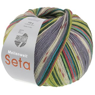 Lana Grossa MEILENWEIT 100g Seta Giappone