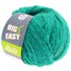 Lana Grossa MOLLE 100g (Big & Easy) | 15-turkos