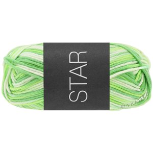 Lana Grossa STAR Print | 348-vitgrön/ljus grön/jade