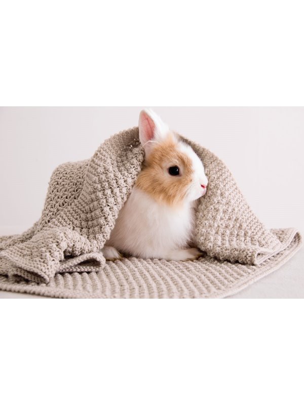 Lana Grossa FILT Cool Wool Baby 50 g - Stickmönster (SE)